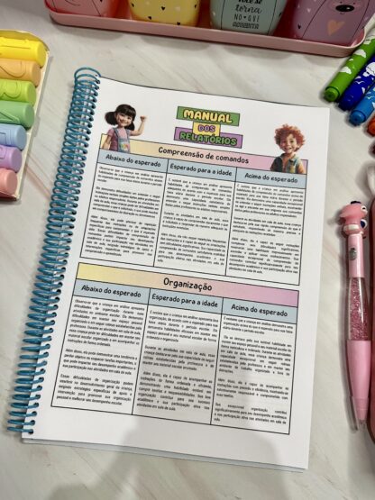 Manual de Relatórios - Imagem 11