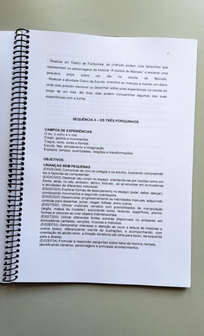 Planos de Aulas para Educação infantil - Imagem 2