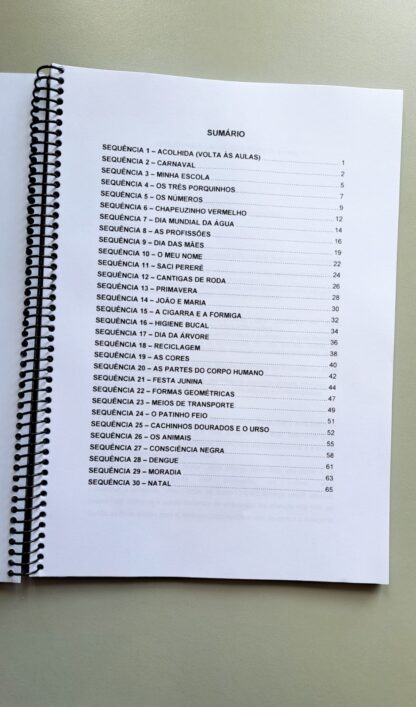 Planos de Aulas para Educação infantil - Imagem 3