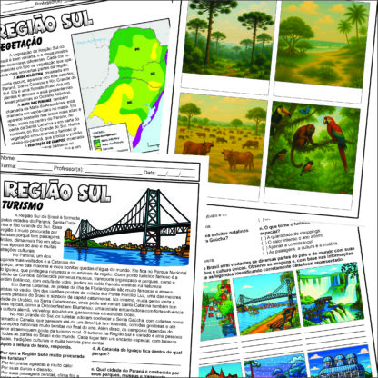 REGIÃO SUL - Imagem 8