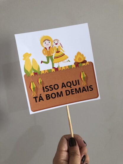 Plaquinhas juninas para fotos - Imagem 6