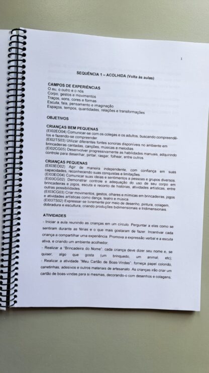 E-book: Planos de Aula para Educação Infantil - Imagem 2