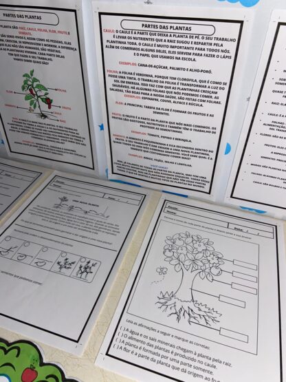 LUVA PARTES DE UMA PLANTA - Imagem 4