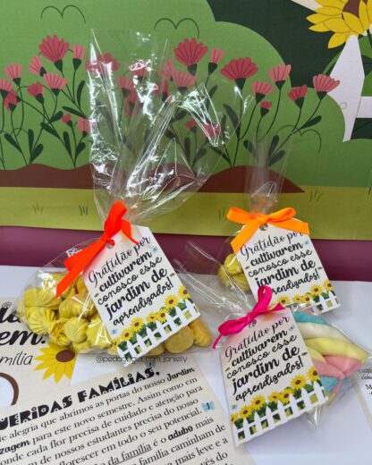 ARQUIVOS - KIT "JARDIM DA APRENDIZAGEM" - REUNIÃO DE PAIS E RESPONSÁVEIS SEGUNDO SEMESTRE - Imagem 16