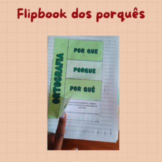 Flipbook dos porquês
