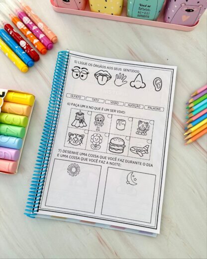 Sondagem Diagnóstica – 1º Ano do Ensino Fundamental - Imagem 15