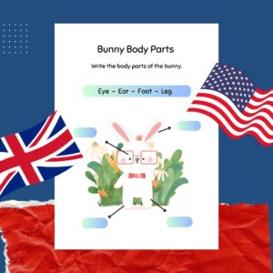 Bunny Body Parts