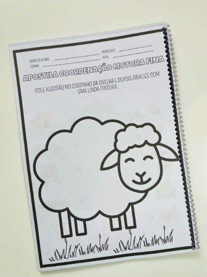 ✂️🎨 Apostila de Coordenação Motora Fina – Atividades de Recorte, Pintura e Escrita - Imagem 3