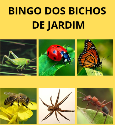 Amostra de uma folha do bingo