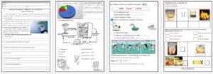 AVALIAÇÃO DE CIÊNCIAS – ÁGUA – MISTURAS HOMOGÊNEAS E HETEROGÊNEAS