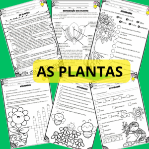 Kit Plantas