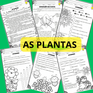 Kit Plantas