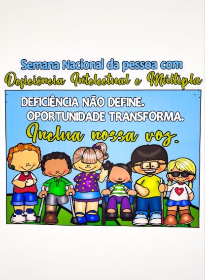 Semana Nacional da Pessoa com Deficiência Intelectual e Múltipla 2025 - Imagem 4