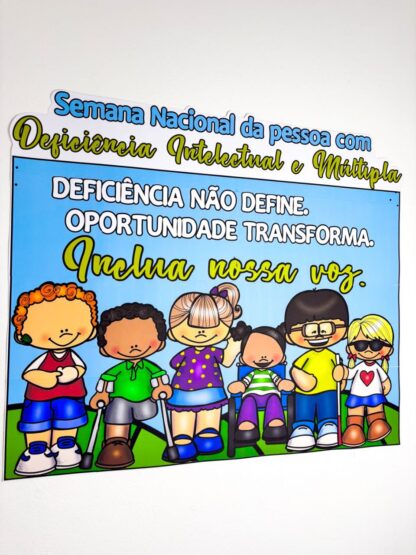 Semana Nacional da Pessoa com Deficiência Intelectual e Múltipla 2025 - Imagem 9