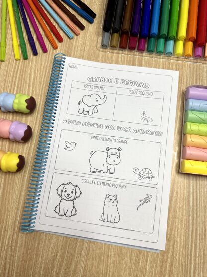 APOSTILA CONCEITOS MATEMÁTICOS - Imagem 6
