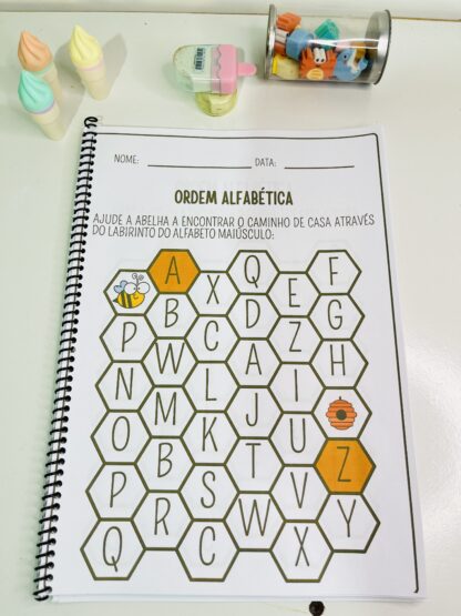 AVALIAÇÃO DIAGNÓSTICA EDUCAÇÃO INFANTIL - BNCC - Imagem 4