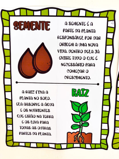 Painel As Partes da Árvore - Imagem 5