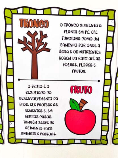 Painel Partes da Árvore - Imagem 5