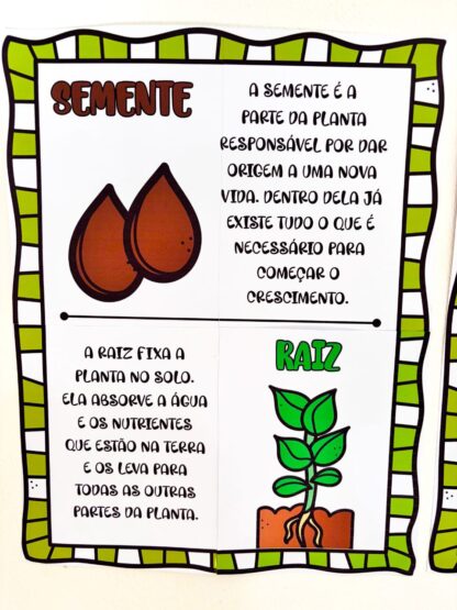 Painel Partes da Árvore - Imagem 9