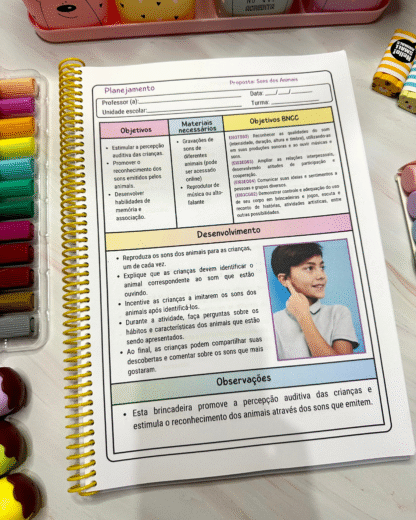 Coletânea 90 Planejamentos Pré Escola - Imagem 11